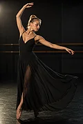 Model Image